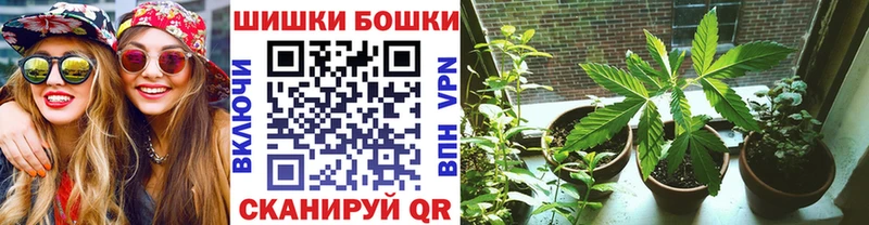 Виды наркотиков купить Лодейное Поле Бошки Шишки  Меф  Кокаин  ГАШИШ 