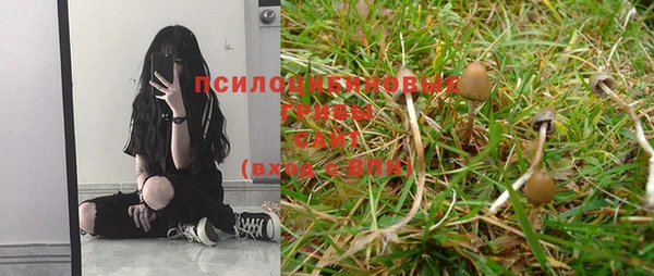 MESCALINE Дмитров