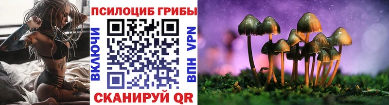Псилоцибиновые грибы мицелий Лодейное Поле