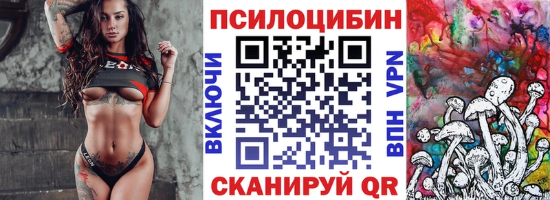 продажа наркотиков  Лодейное Поле  shop клад  Псилоцибиновые грибы мицелий 